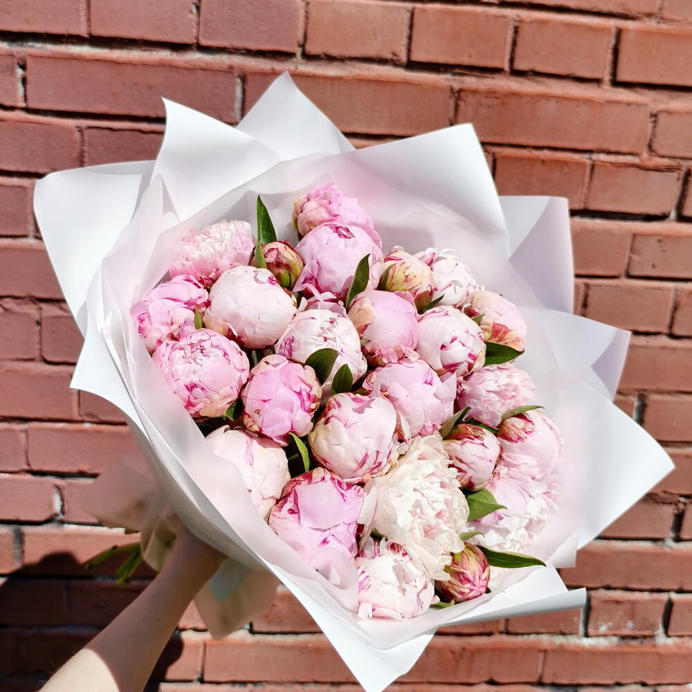 25 пионов Сара Бернар - фото 4