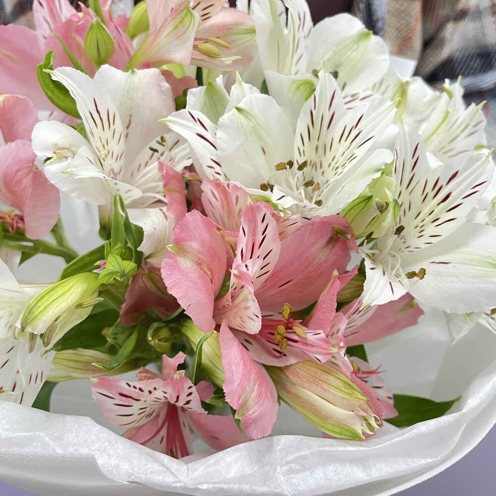 Bouquet of 5 Alstroemeria Stems — September 1 — photo 6