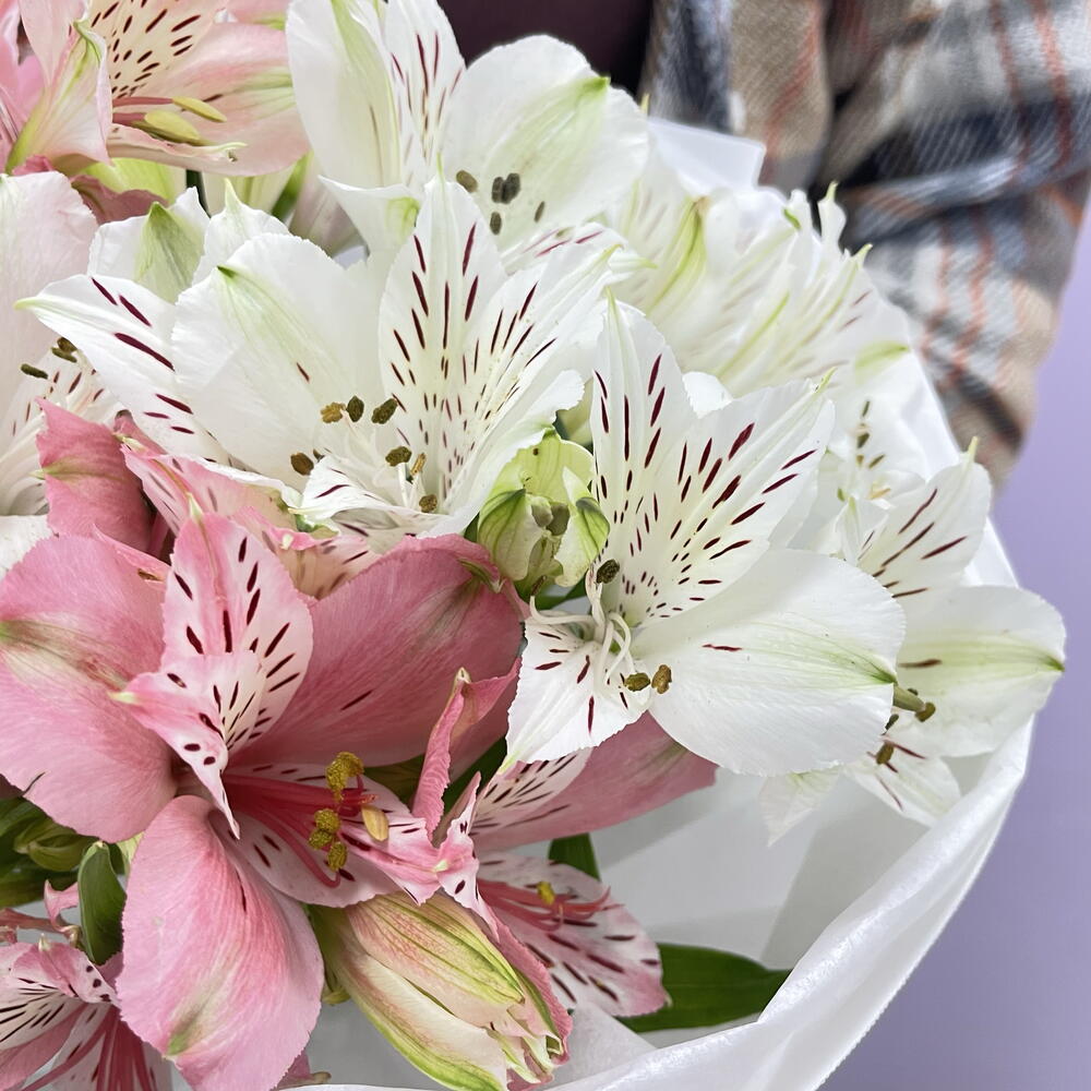 Bouquet of 5 Alstroemeria Stems — September 1 — photo 7