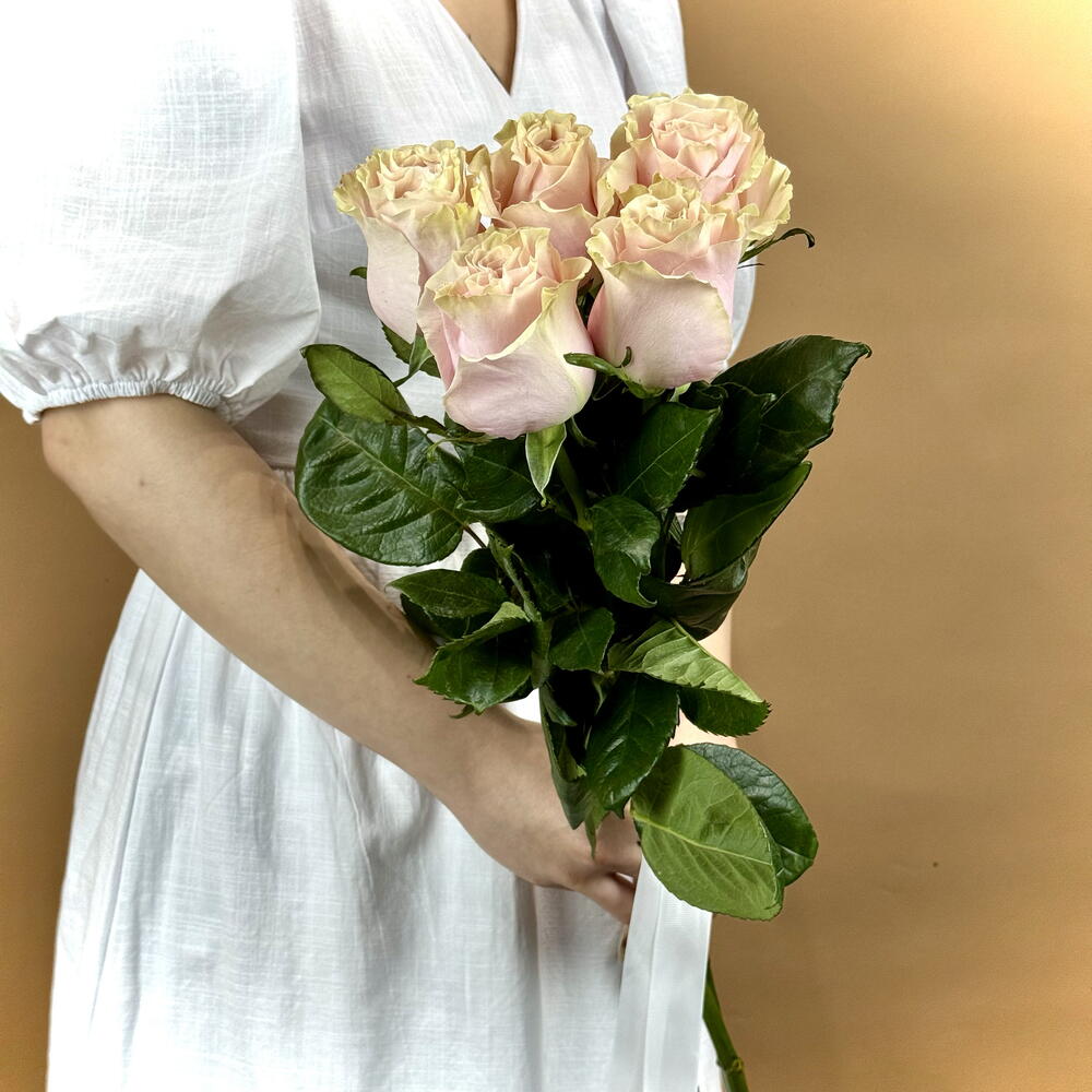 5 Pink Mondial Roses — September 1 — photo 1