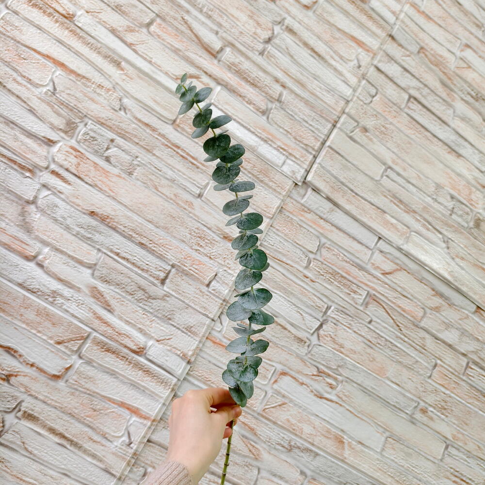 Eucalyptus Stem — photo 3